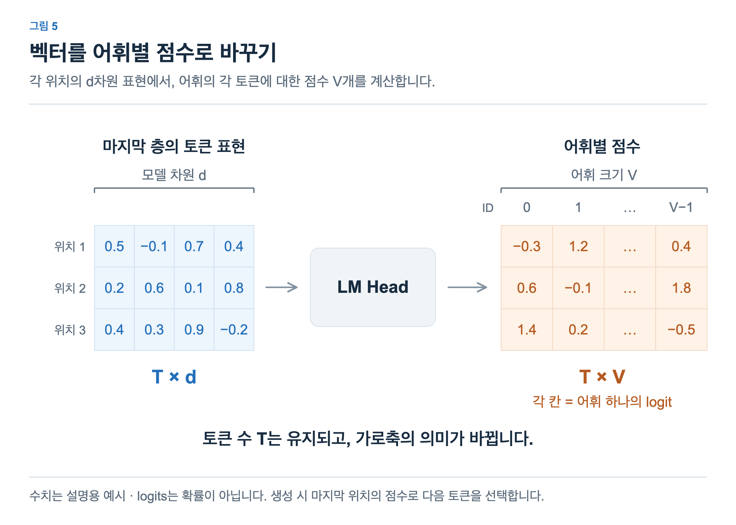 LM Head가 T × d 형태의 토큰 표현을 T × V 형태의 어휘별 점수로 변환합니다. 출력의 각 열은 어휘의 토큰 ID 하나에 대응합니다.