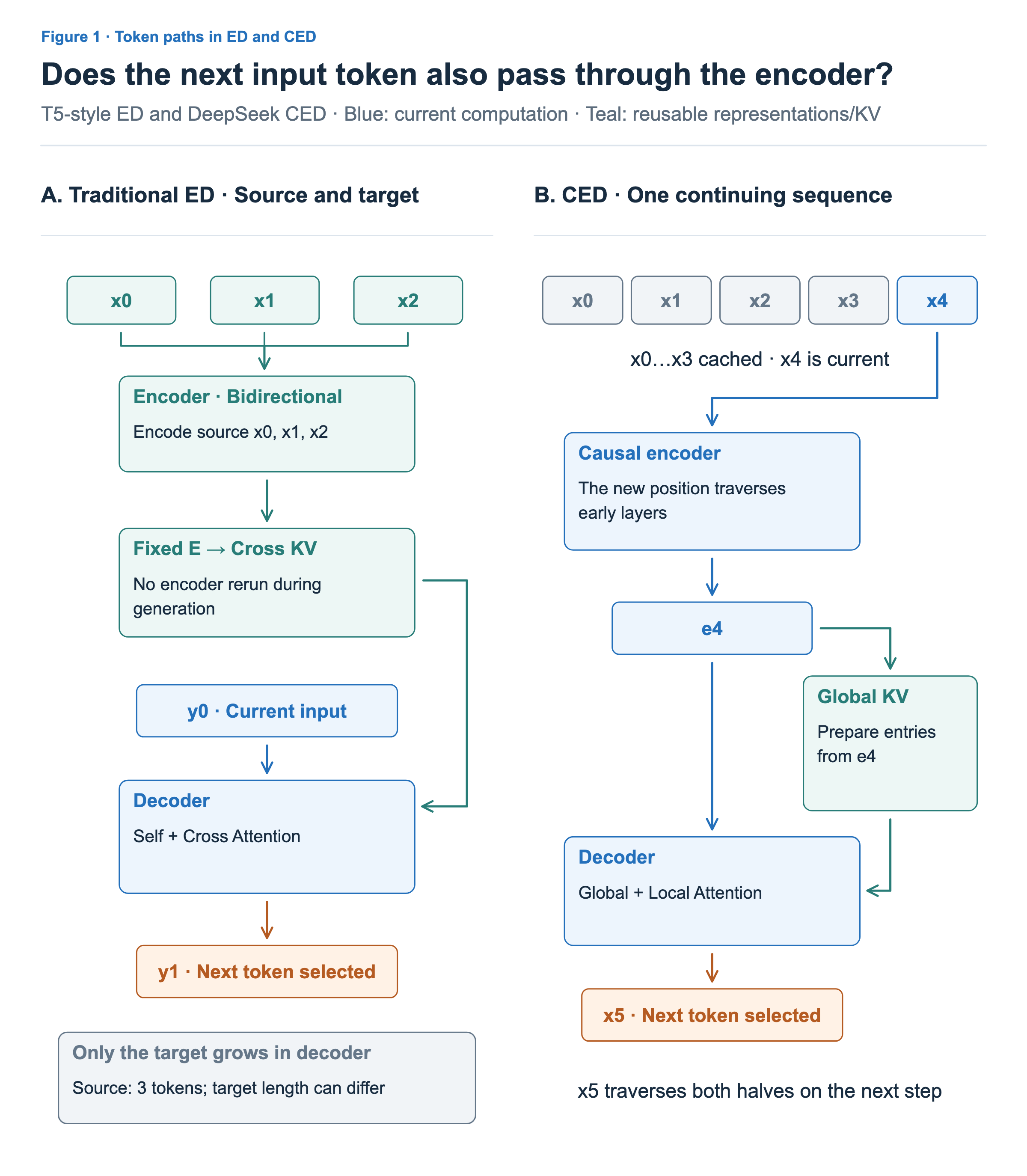 A T5-style model generates targets in its decoder while reading a fixed source. In CED, each new input token passes through both the causal encoder and decoder.