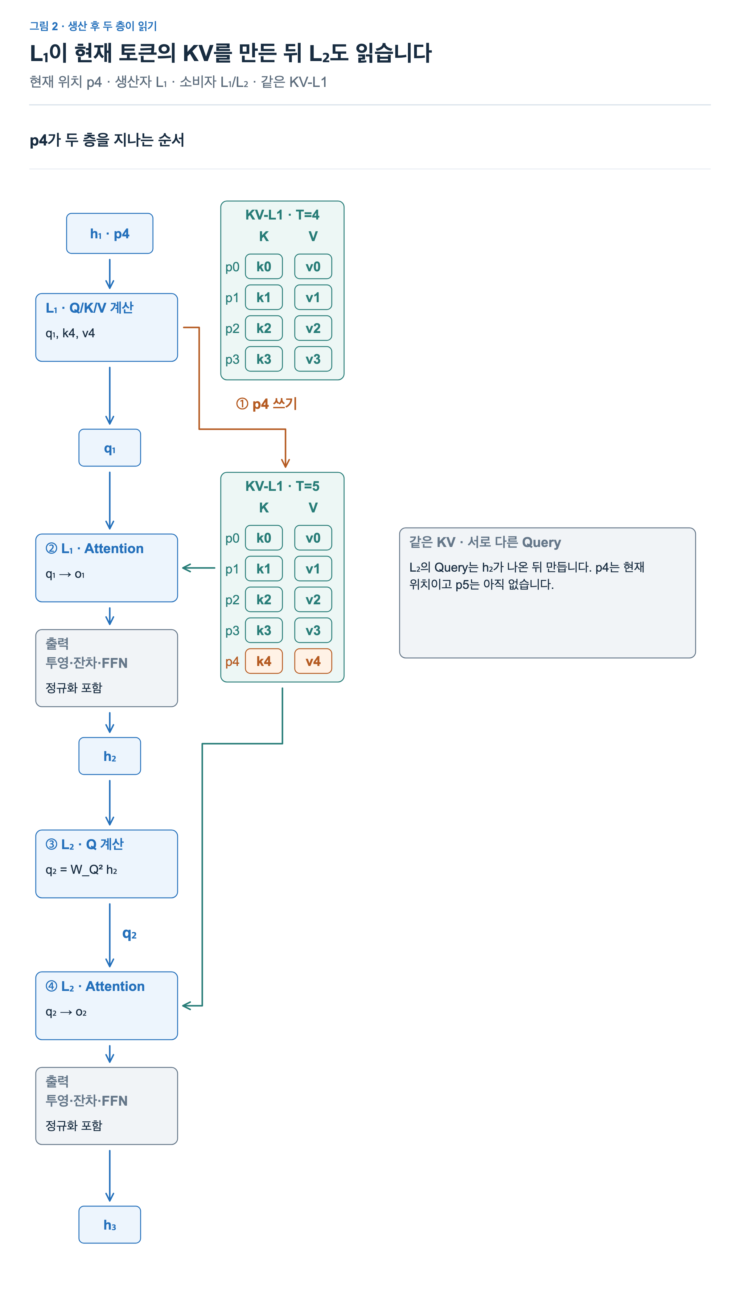 L1이 p4의 KV를 추가하면 두 층이 각각 자신의 Query로 읽는다. 각 attention 출력은 출력 투영·잔차·FFN 등을 거쳐 다음 층 입력이 된다.
