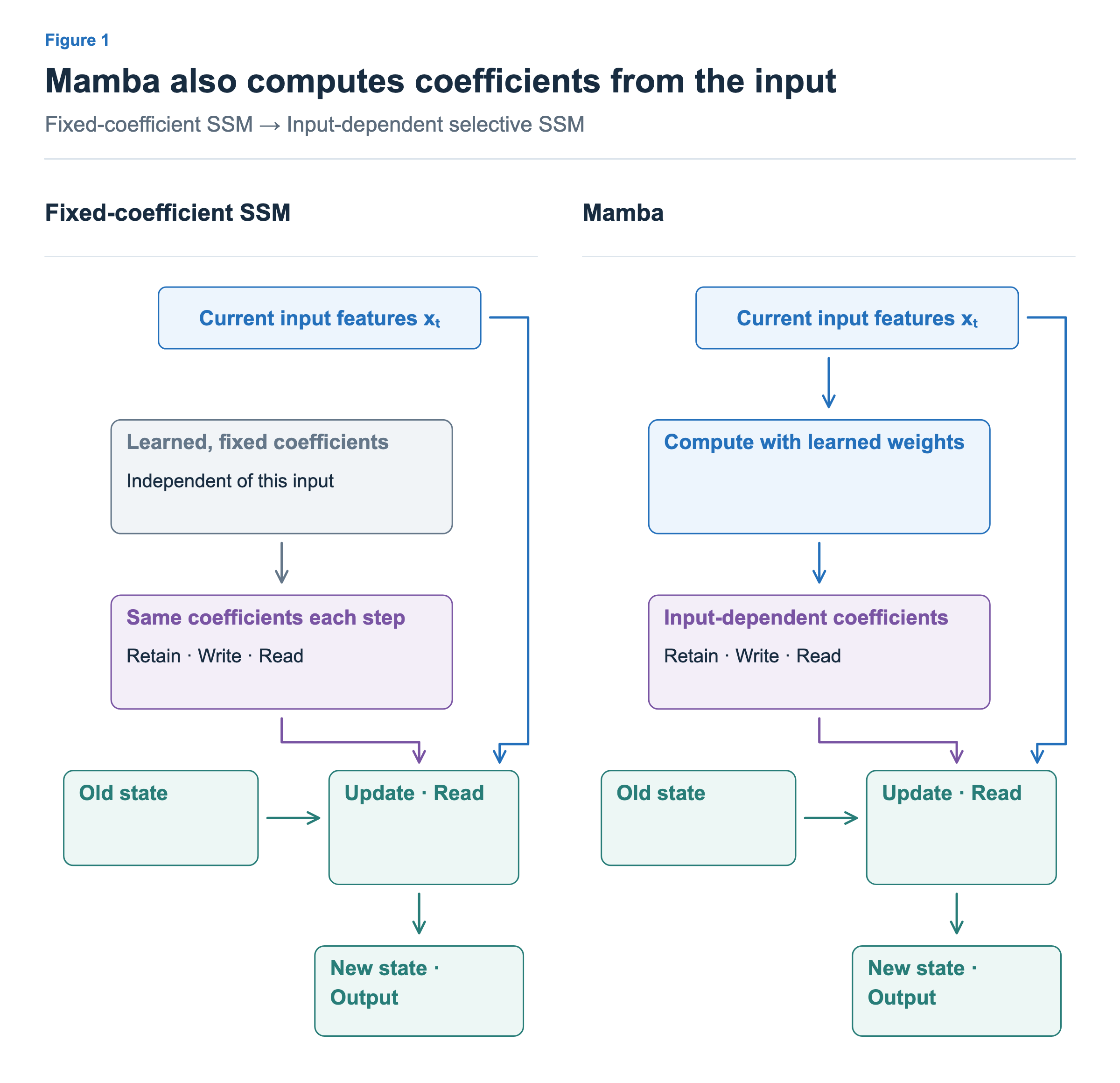 A fixed SSM updates and reads state with coefficients fixed independently of the current input. Mamba also routes the input through learned weights to generate coefficients. Both share the input path and state-processing order; the input-to-coefficient connection differs.