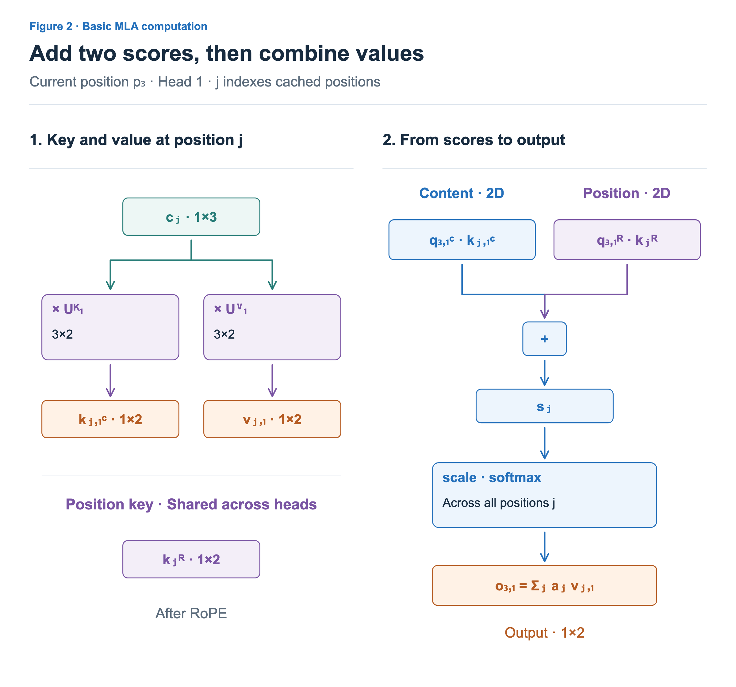 Left: latent cⱼ (1×3) is projected by head 1 matrices Uᴷ₁ and Uⱽ₁ (3×2) into content key and value vectors (1×2). Position key kⱼᴿ (1×2) is shared across heads. Right: add the content and position query-key dot products, scale and softmax across positions, then combine values with the resulting weights.