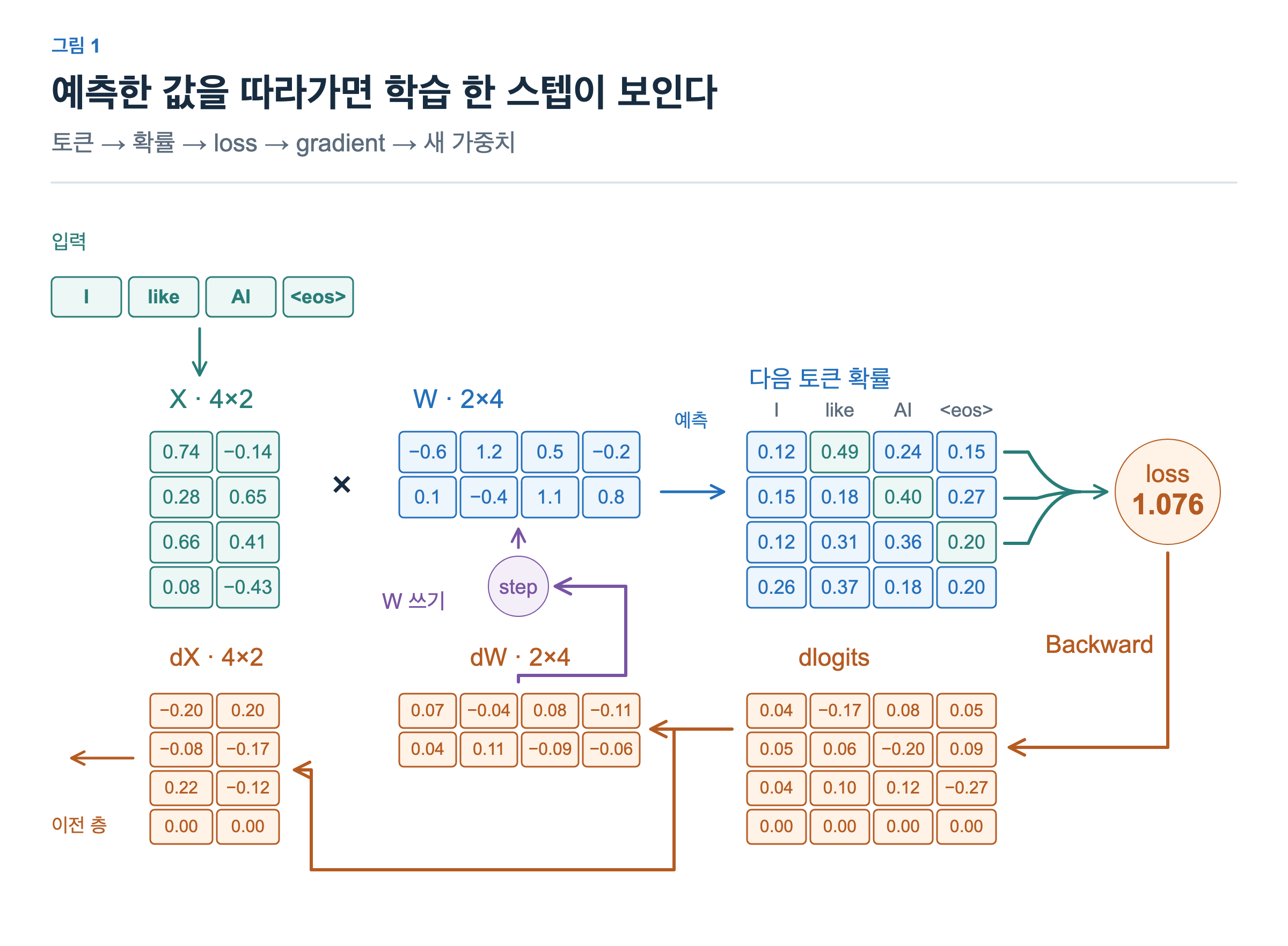 입력 토큰에서 activation과 가중치를 읽어 확률을 만들고 정답 확률이 loss로 모인다. Loss의 gradient는 dW와 dX로 갈라지며 optimizer가 W를 쓴다.