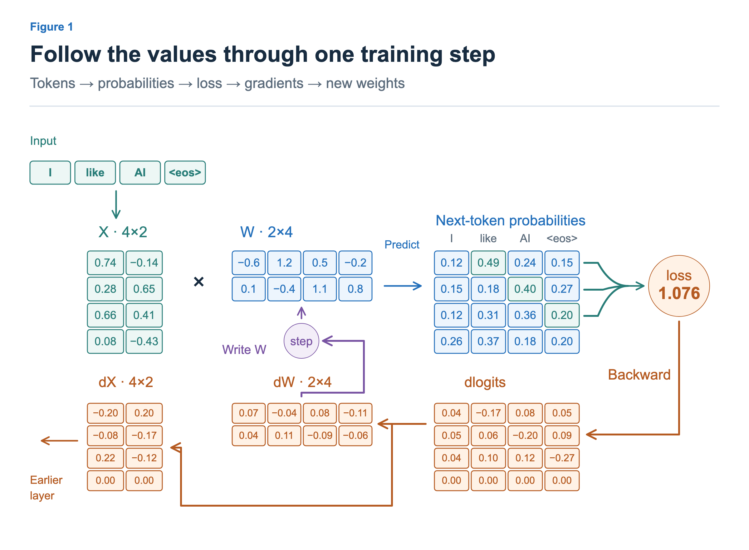 Tokens produce activations; reading weights produces probabilities. Target probabilities become loss. Gradients branch into dW and dX; the optimizer writes W.