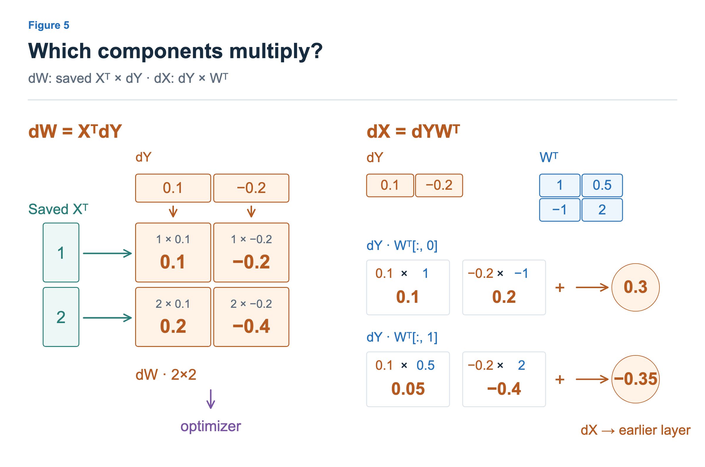 dW is filled by pairwise products of column vector Xᵀ and row vector dY. dX multiplies dY on the left by each column of Wᵀ on the right, summing to 0.3 and -0.35.